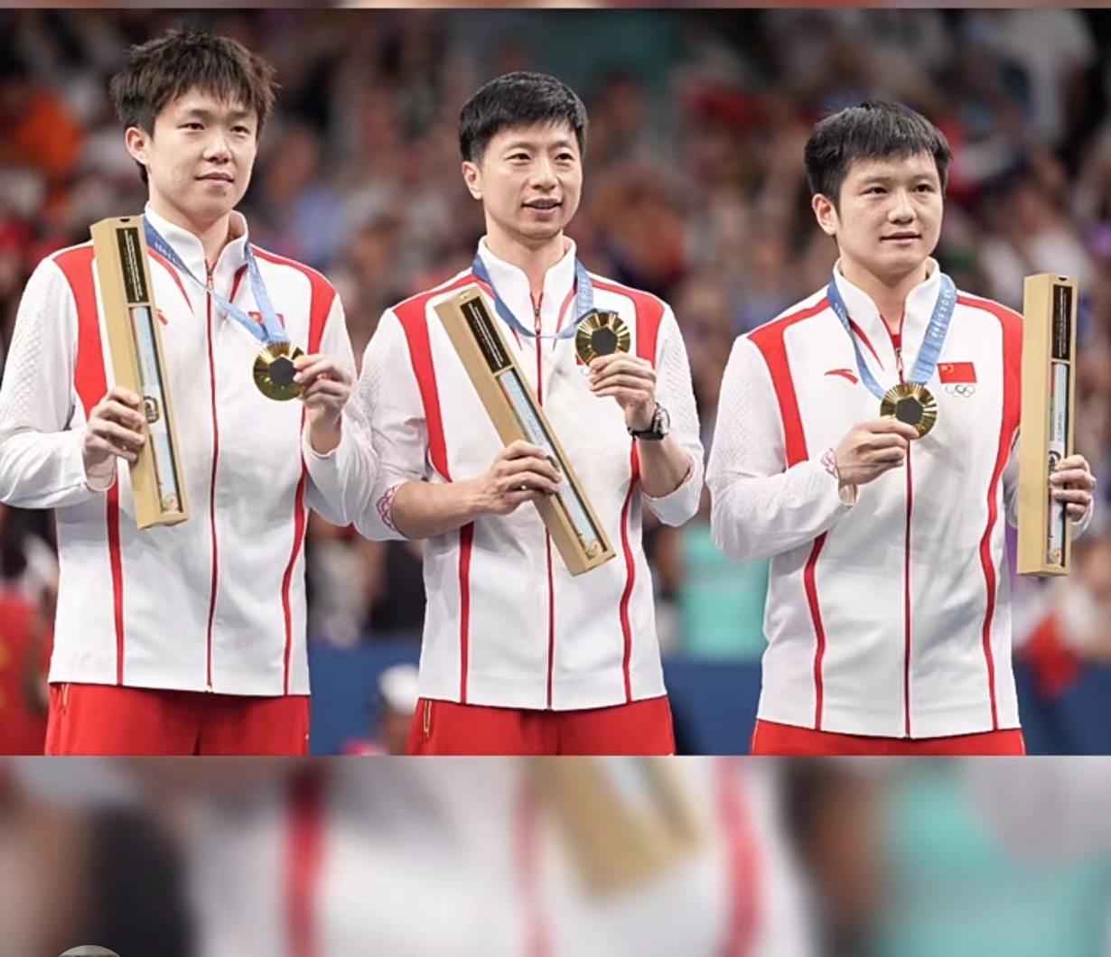 中国乒乓球队横扫日本乒乓球队，马龙制霸全场