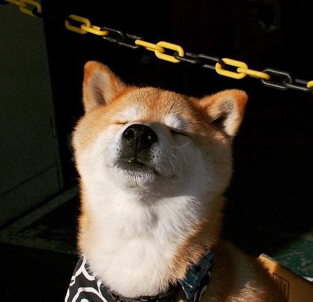 孤星燎原，英格拉姆狂砍43分点燃赛场，国王加时鏖战力克猛龙