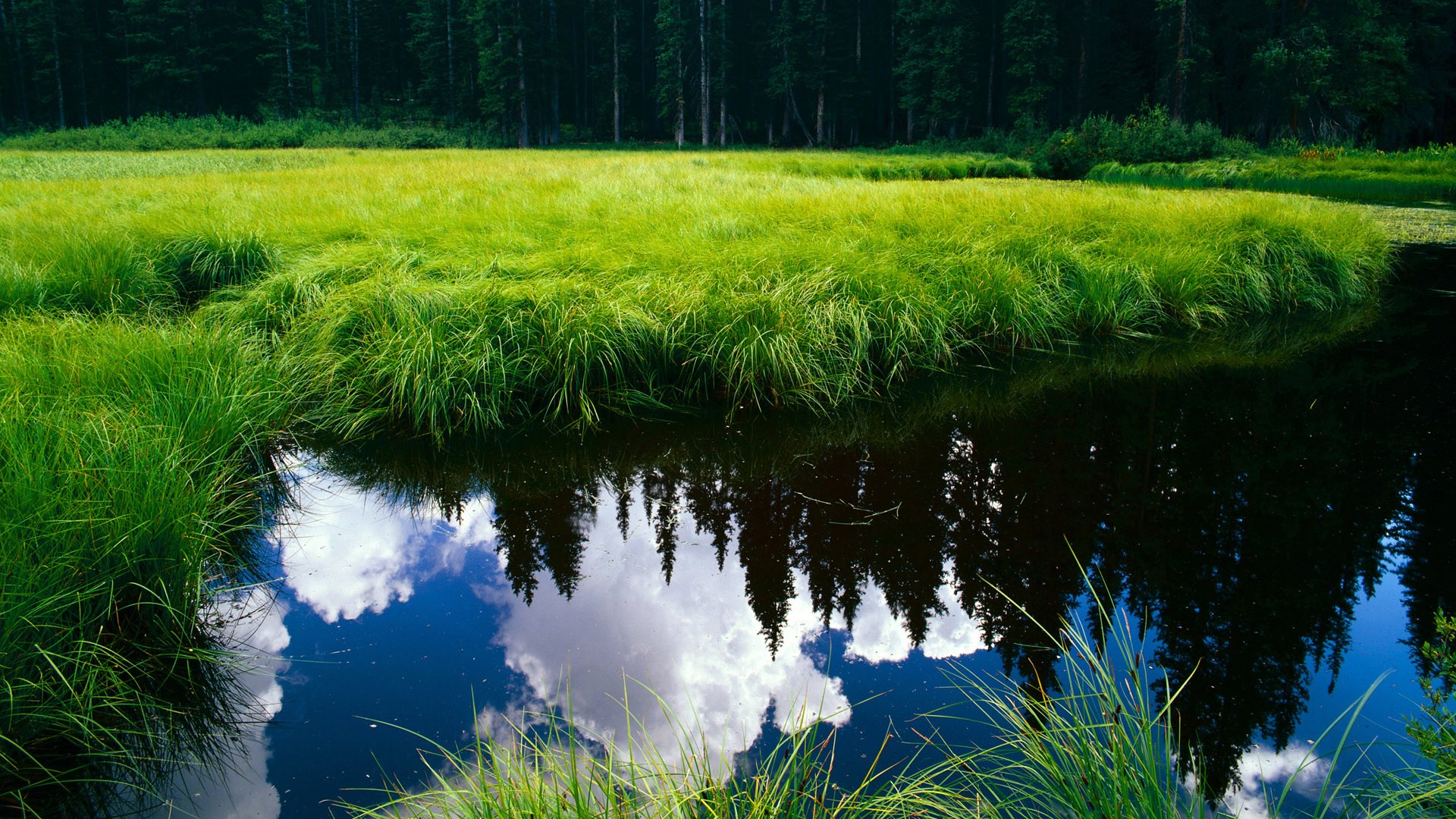 pg电子模拟器试玩在线-当哈利伯顿空降欧冠决赛，攻防转换的隐形风暴