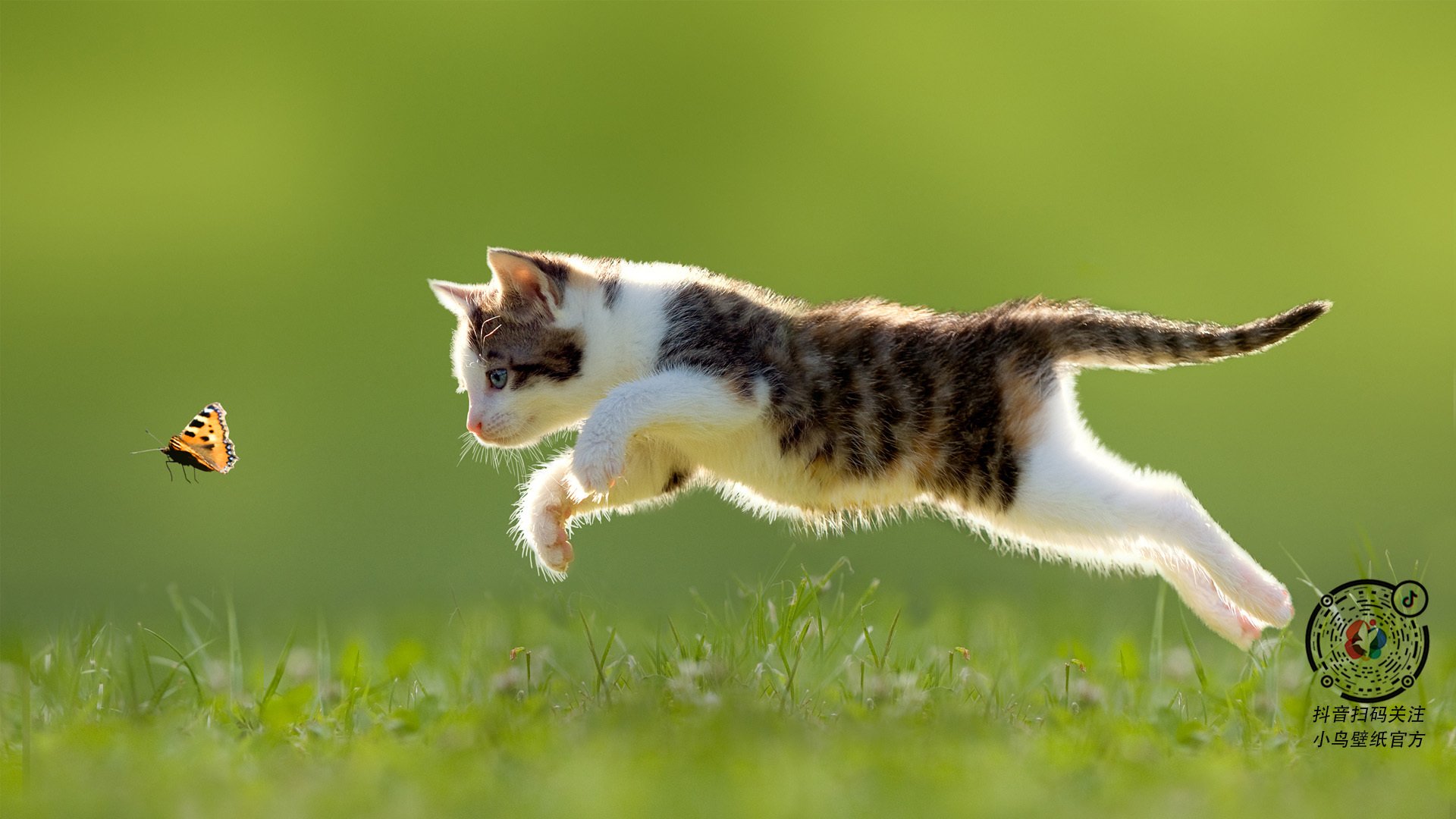 米切尔扛起黑夜，雄鹿硬骨头啃下浙江队