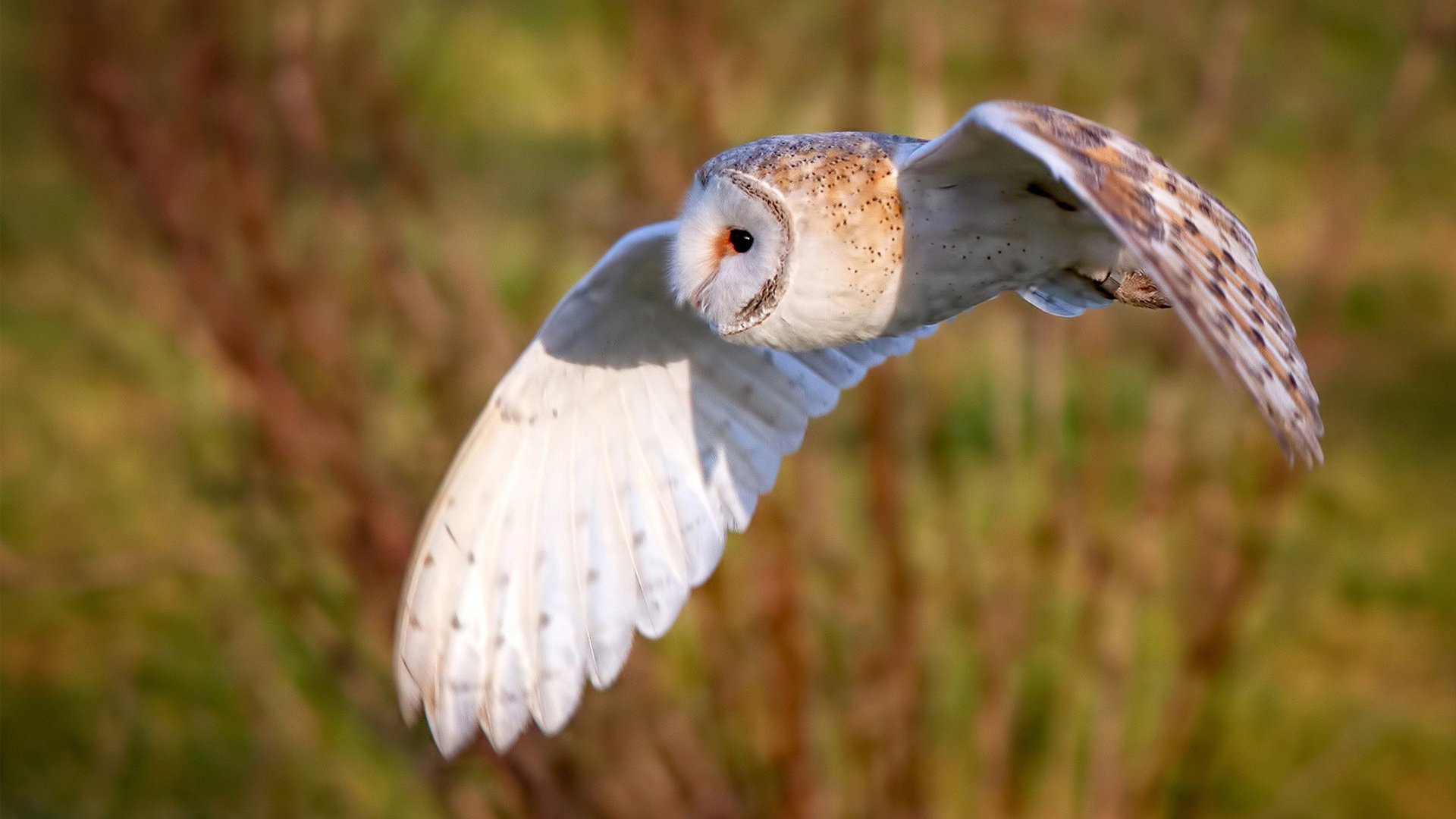 pg电子下载-生死时刻，他选择让世界暂停三秒