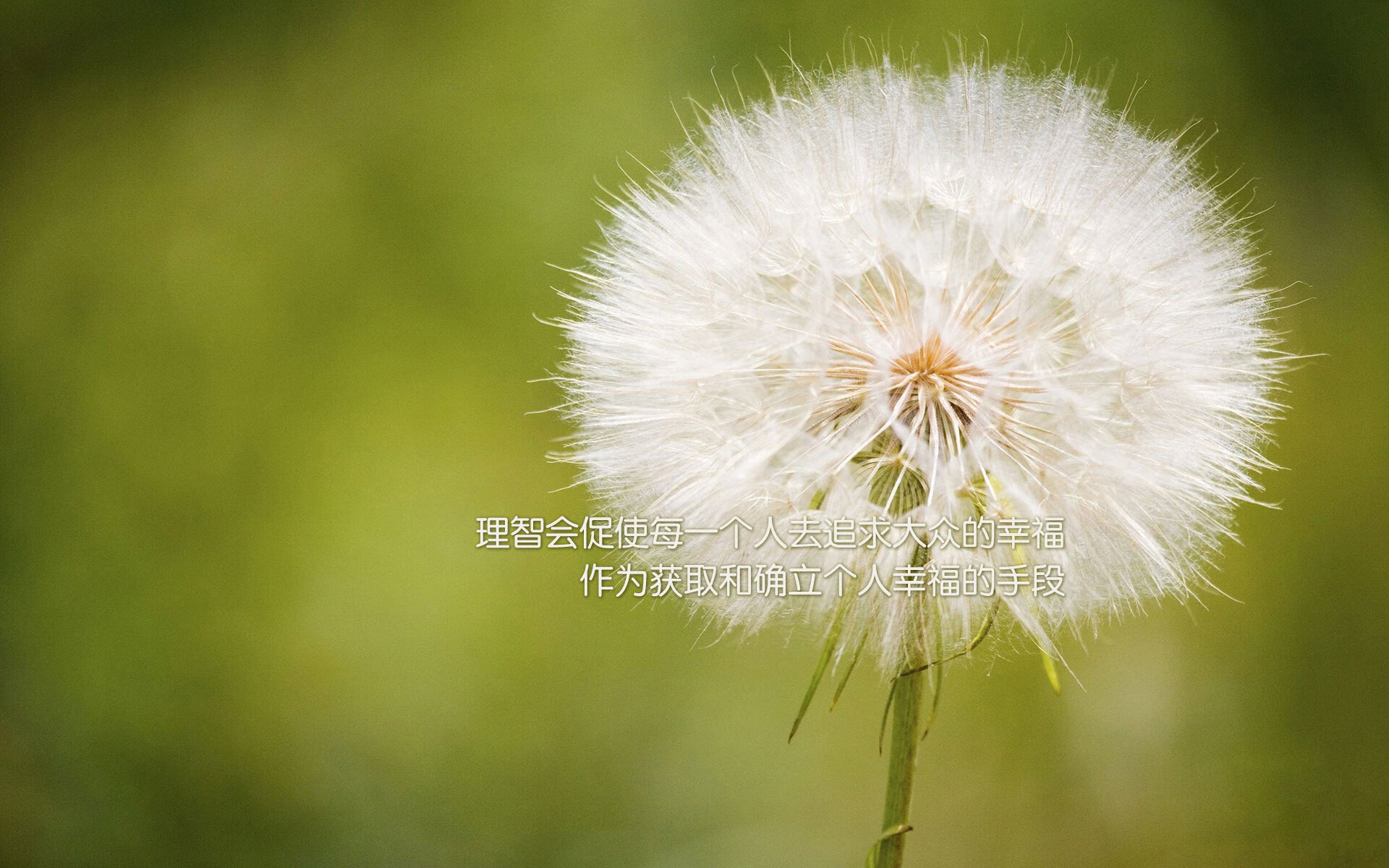 老鹰火箭激战，库里进攻端无人可挡的启示