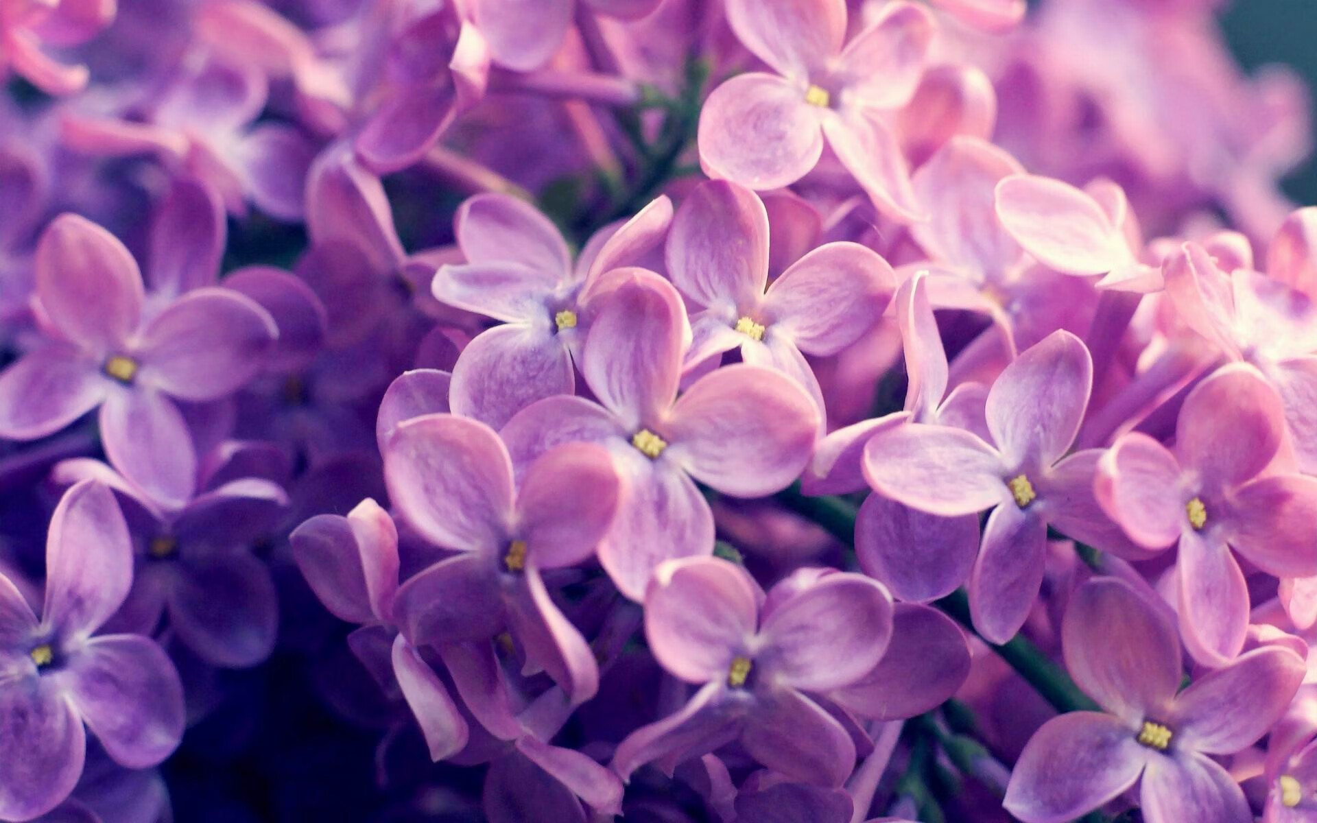 金玟哉掀起惊涛骇浪！尼日利亚压倒性统治击碎日本篮球梦