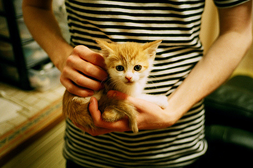 美加墨世界杯焦点战，尼斯终结罗马，热身赛引爆全球热议