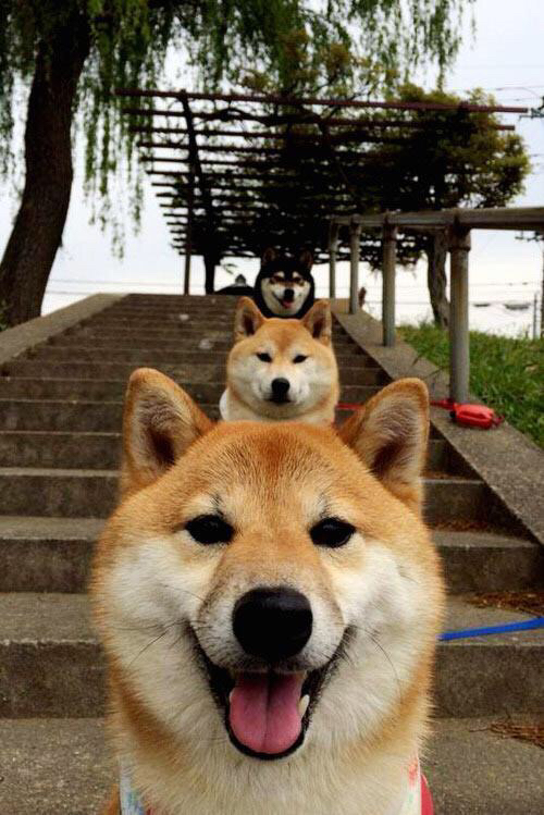 pg电子试玩-阿坎吉闪耀之夜，当瑞士铁闸的爆发遭遇阿根廷提前终结的悬念