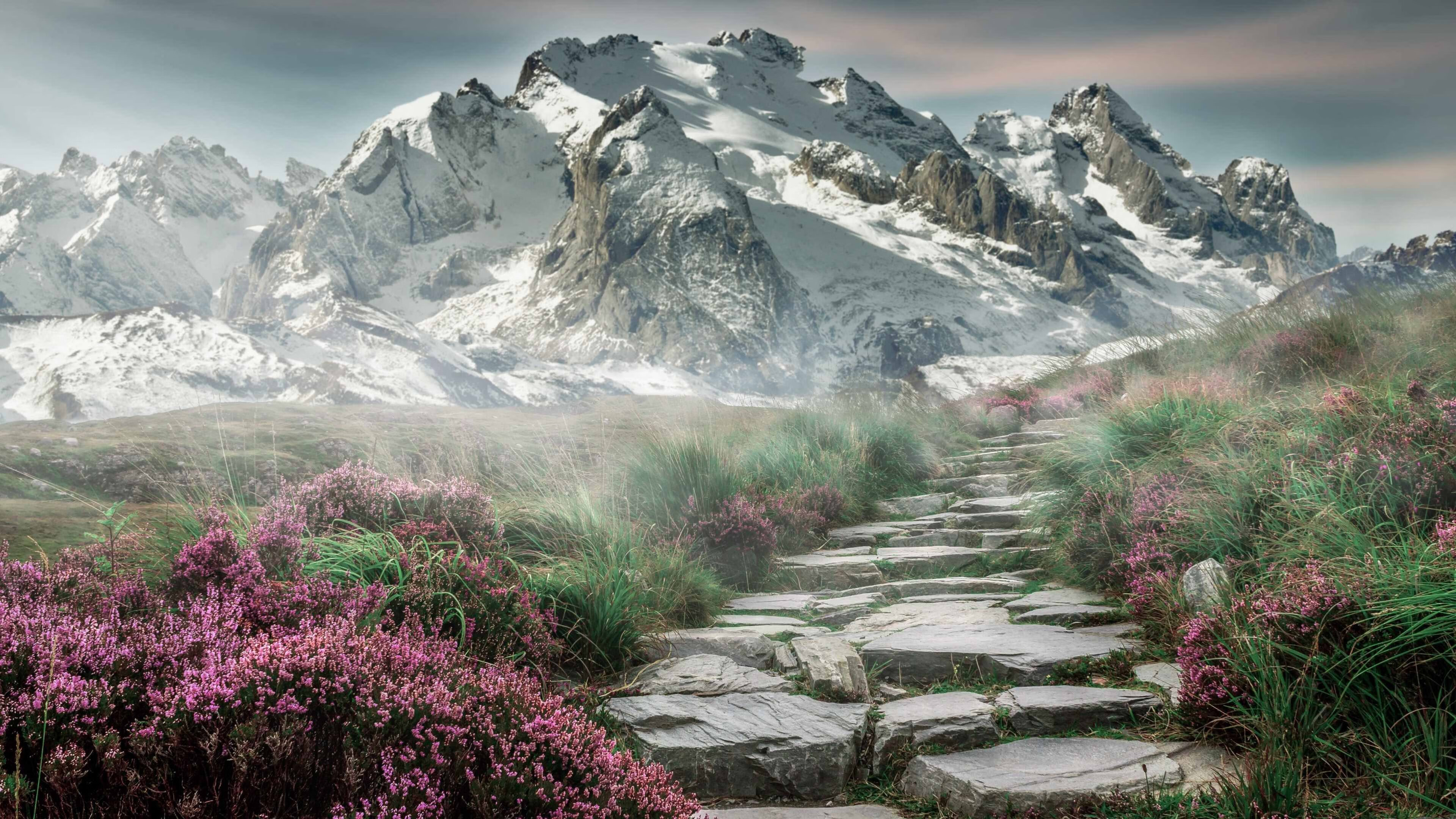 pg电子模拟器-奔涌！在季后赛最大舞台的波涛上，他是那不息的潮声