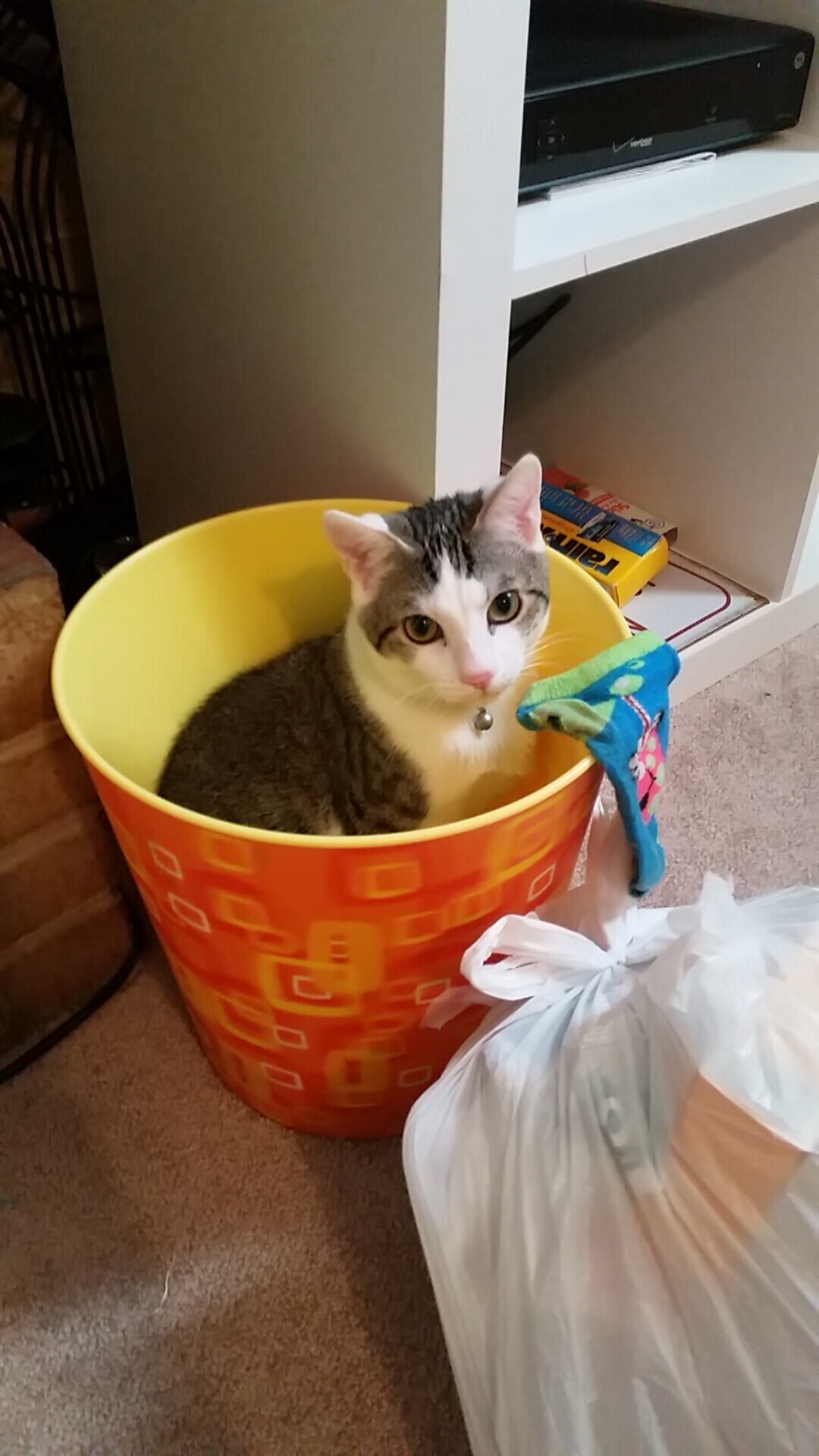 pg电子官网-F1街道赛焦点战，北京队铁壁防守锁死深圳队，赢得关键胜利