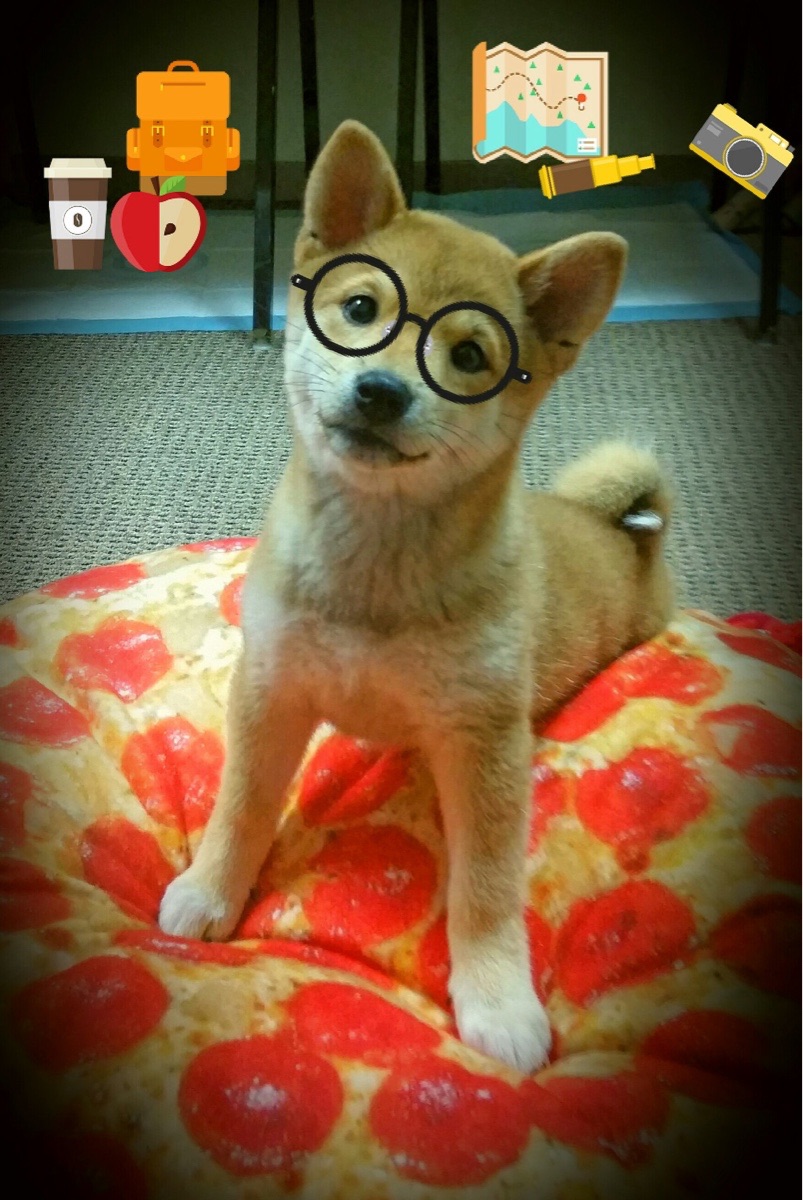 芬兰vs厄瓜多尔,NBA总决赛焦点战中的全面压制