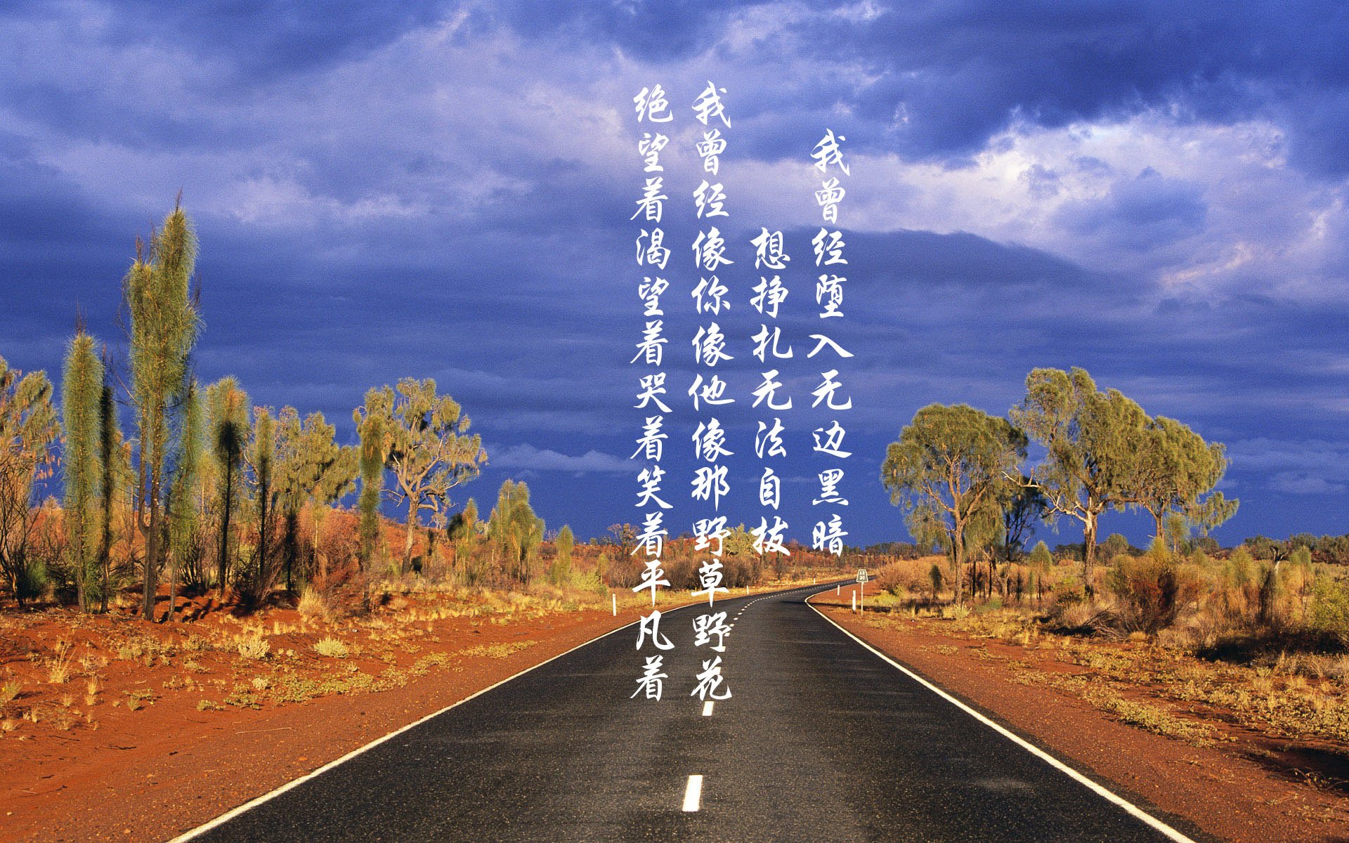 pg电子试玩网-2026世界杯A组强强对话，卡塔尔横扫越南，布罗佐维奇闪耀全场