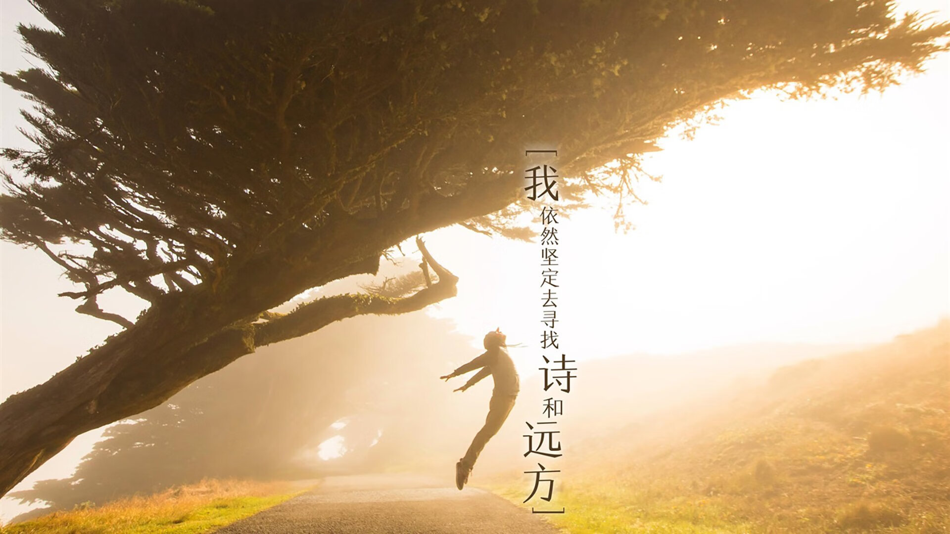 橙色风暴绝杀桑巴，C罗压哨绝唱，荷兰险胜巴西震惊世界